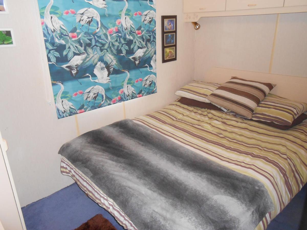 'The Cabin'. A Cosy Private & Secure Holiday Home. Padeswood Luaran gambar